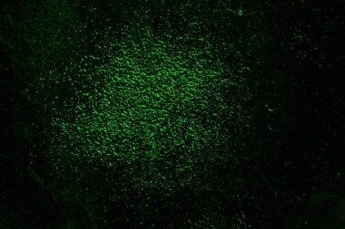 soyut yeşil doku, arkaplan, duvar kağıdını kopyala