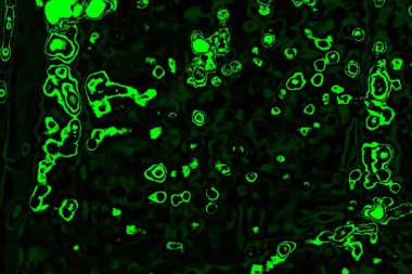 soyut Yeşil ve siyah doku ve arkaplan, boşluğu kopyala