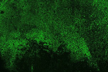 Yeşil ve siyah doku ve arkaplan, boşluğu kopyala