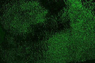 soyut siyah yeşil doku, arkaplan, duvar kağıdını kopyala