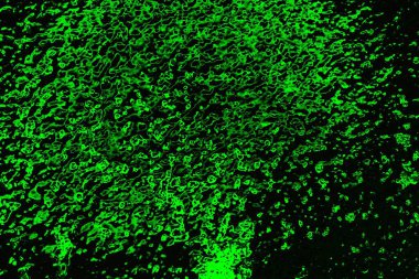 soyut siyah yeşil doku, arkaplan, duvar kağıdını kopyala