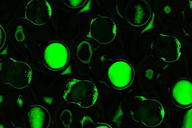 soyut siyah yeşil doku, arkaplan, duvar kağıdını kopyala