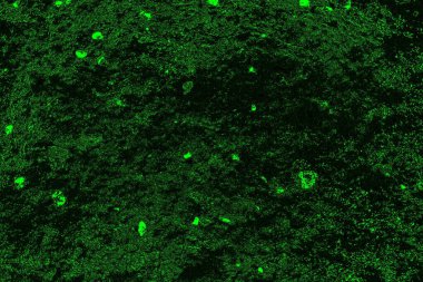 soyut siyah yeşil doku, arkaplan, duvar kağıdını kopyala