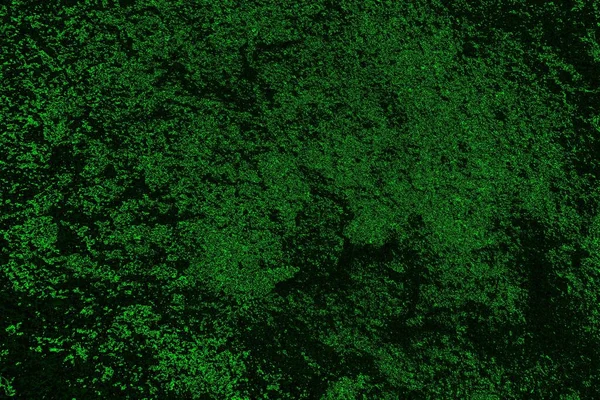 Soyut Yeşil Doku Arkaplan Duvar Kağıdını Kopyala — Stok fotoğraf