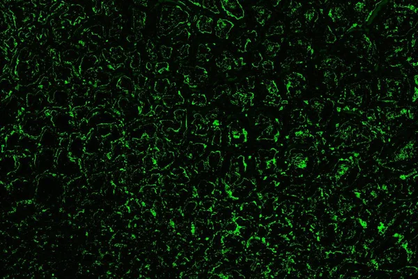 soyut siyah yeşil doku, arkaplan, duvar kağıdını kopyala