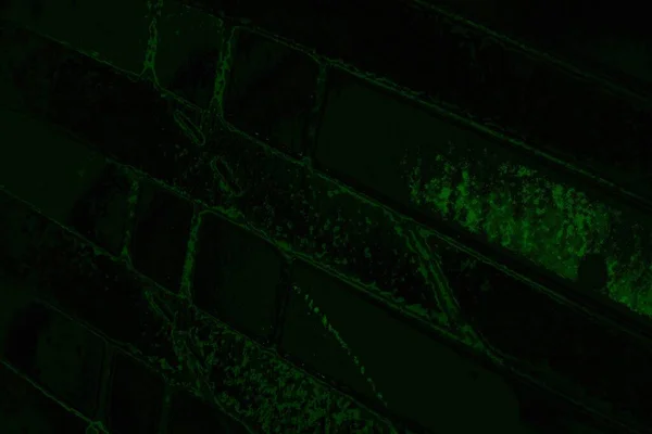 抽象的な黒緑色のテクスチャ背景コピースペース壁紙 — ストック写真