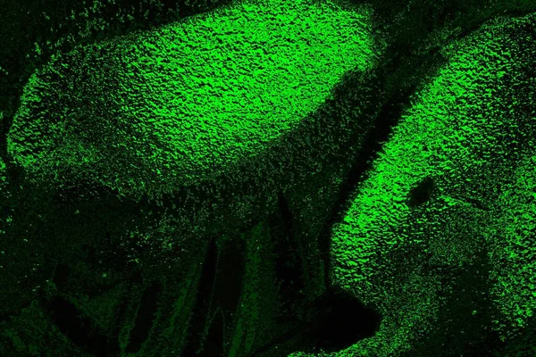 soyut siyah yeşil doku, arkaplan, duvar kağıdını kopyala