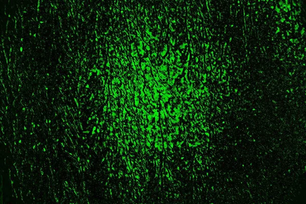 Yeşil ve siyah doku ve arkaplan, boşluğu kopyala