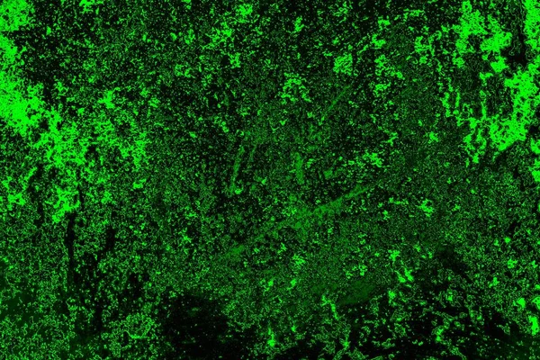soyut siyah yeşil doku, arkaplan, duvar kağıdını kopyala
