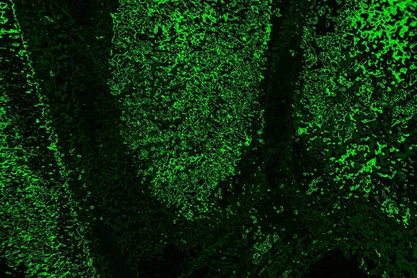 抽象的黑色绿色纹理 复制空间壁纸 — 图库照片
