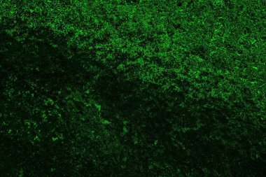 soyut yeşil doku, arkaplan, duvar kağıdını kopyala