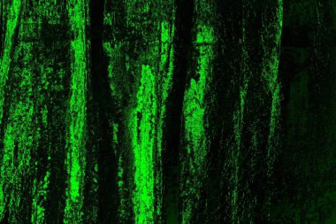 Yeşil ve siyah doku ve arkaplan, boşluğu kopyala