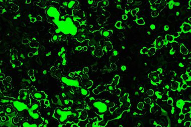 soyut siyah yeşil doku, arkaplan, duvar kağıdını kopyala
