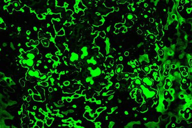 soyut siyah yeşil doku, arkaplan, duvar kağıdını kopyala