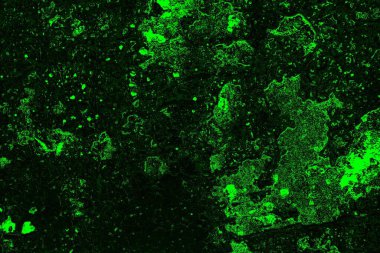 soyut siyah yeşil doku, arkaplan, duvar kağıdını kopyala