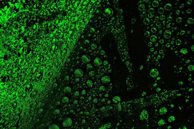 Yeşil ve siyah doku ve arkaplan, boşluğu kopyala