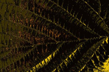 Kırmızı sarı ve siyah renkli kirli duvar, desenli arka plan. 