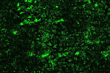 soyut siyah yeşil doku, arkaplan, duvar kağıdını kopyala