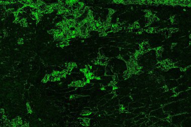soyut yeşil doku, arkaplan, duvar kağıdını kopyala