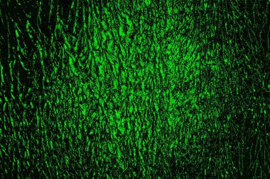 Yeşil ve siyah doku ve arkaplan, boşluğu kopyala