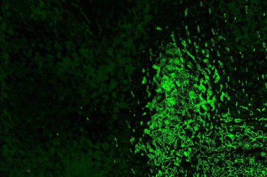 soyut Yeşil ve siyah doku ve arkaplan, boşluğu kopyala