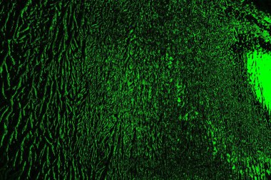 Yeşil ve siyah doku ve arkaplan, boşluğu kopyala