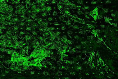 soyut yeşil ve siyah doku ve arkaplan, uzay duvar kağıdını kopyala