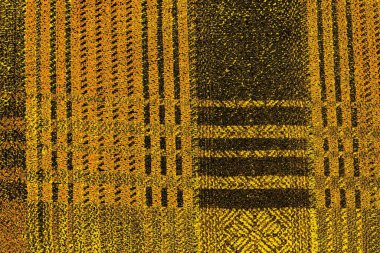 Kırmızı sarı ve siyah renkli kirli duvar, desenli arka plan.