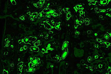 soyut Yeşil ve siyah doku ve arkaplan, boşluğu kopyala