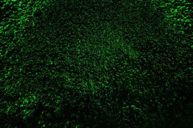 soyut yeşil doku, arkaplan, duvar kağıdını kopyala