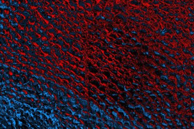 soyut siyah kırmızı doku, arkaplan, boşluk duvar kağıdını kopyala