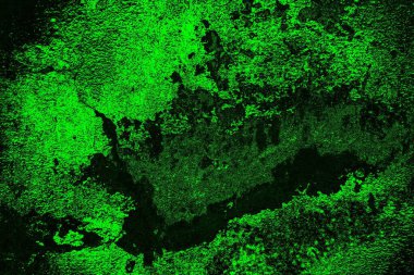 soyut yeşil doku, arkaplan, duvar kağıdını kopyala