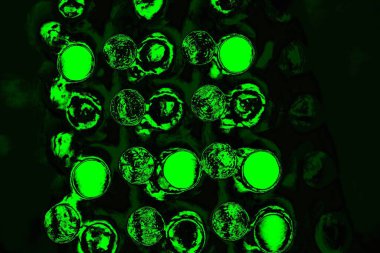 Yeşil ve siyah doku ve arkaplan, boşluğu kopyala