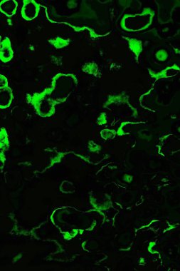 soyut siyah yeşil doku, arkaplan, duvar kağıdını kopyala