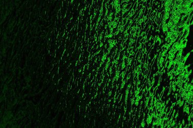 Yeşil ve siyah doku ve arkaplan, boşluğu kopyala