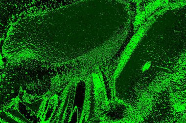 soyut siyah yeşil doku, arkaplan, duvar kağıdını kopyala