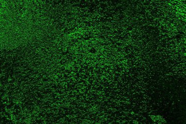 soyut yeşil doku, arkaplan, duvar kağıdını kopyala