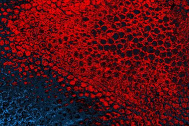 Polistiren köpük yakın plan. Bir sürü küçük ve büyük kabarcıklar stiroköpük doku arkaplanı.