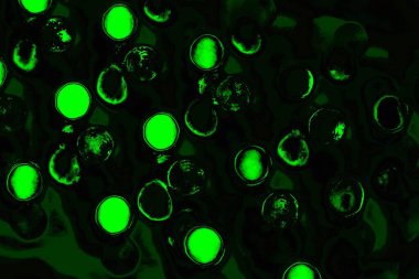 Yeşil ve siyah doku ve arkaplan, boşluğu kopyala