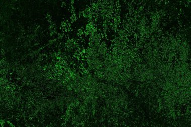 soyut Yeşil ve siyah doku ve arkaplan, boşluğu kopyala