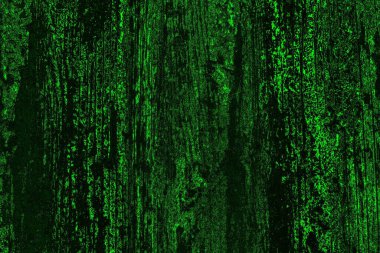 soyut yeşil doku, arkaplan, duvar kağıdını kopyala
