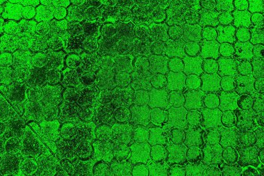 soyut siyah yeşil doku, arkaplan, duvar kağıdını kopyala