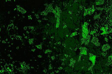 soyut yeşil doku, arkaplan, duvar kağıdını kopyala