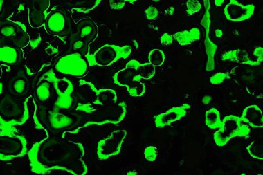 soyut siyah yeşil doku, arkaplan, duvar kağıdını kopyala