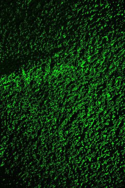 soyut siyah yeşil doku, arkaplan, duvar kağıdını kopyala