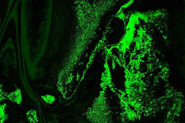Yeşil ve siyah doku ve arkaplan, boşluğu kopyala