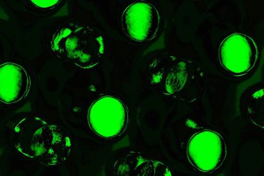 Yeşil ve siyah doku ve arkaplan, boşluğu kopyala