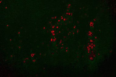 Metal plaka dokusu ve arka plan. Metal yüzey paslanmış lekeler. Paslı metal arka plan. Metal arkaplan.