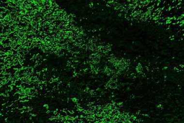 soyut siyah yeşil doku, arkaplan, duvar kağıdını kopyala