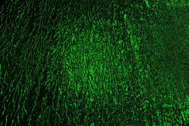 Yeşil ve siyah doku ve arkaplan, boşluğu kopyala